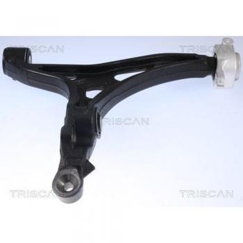 Sospensione Ruota + Braccio Oscillante – TRISCAN 8500 80561
