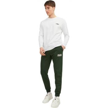 Pantalon Longue Jack & Jones Vert