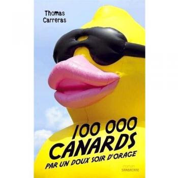 100 000 canards par un doux soir d'orage
