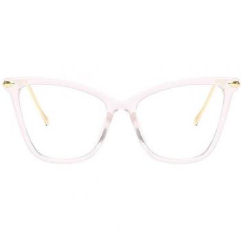 Big Frame Cat Eye Spectacles