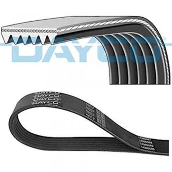 DAYCO Courroie Poly-V 6PK1005 Courroie d'accessoire
