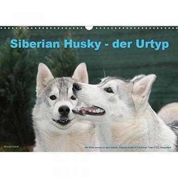 Siberian Husky
