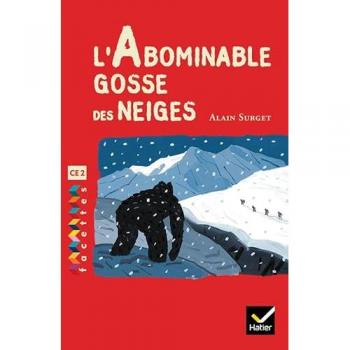 Facettes Bibliothèque CE2