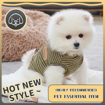 Abbigliamento per gatti e cani S giallo