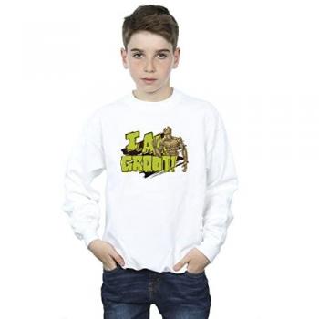 Galaxy Guardians: I Am Groot Youth Pullover