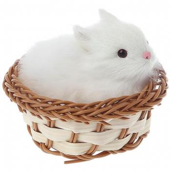 Conejos peludos en canasta