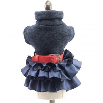 Chic Winter Dog Sweater Dress with Skirt