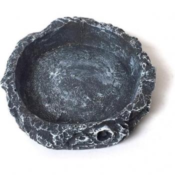 Lizard and Scorpion Feeding Bowl