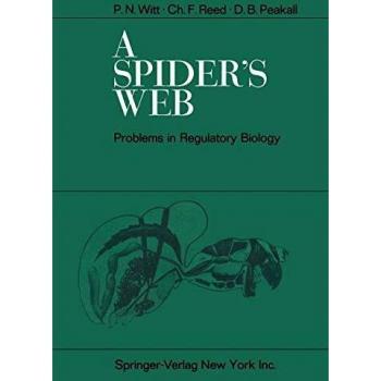 A Spider's Web