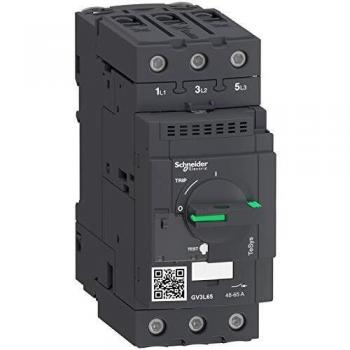 Disyuntor TeSys GV3, 65A, 3 polos, 690V, Schneider Electric