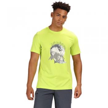 Regatta Fingal IV T-Shirt Homme, Lime Punch