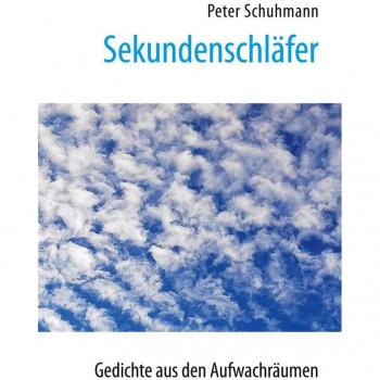 Schuhmann, Peter: Sekundenschläfer