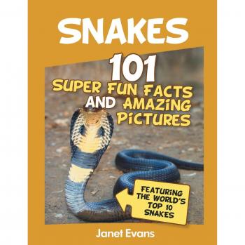 Snakes