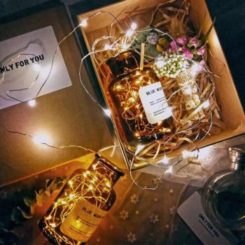 1M Solar Wine Bottle LED Fairy Lights