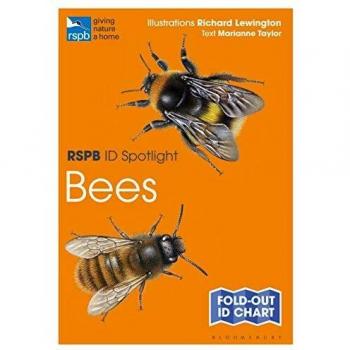 RSPB ID Spotlight