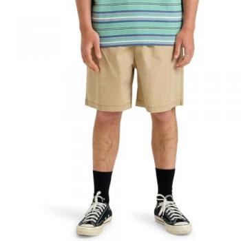 Pantalones Cortos Taxer WS Hombre Marrón