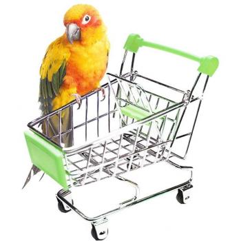 Pet Bird Shopping Cart Toy