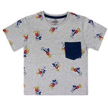 Camiseta Mickey Disney Gris para Niños