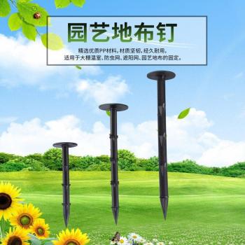 3cm Diameter Tarp Anchors