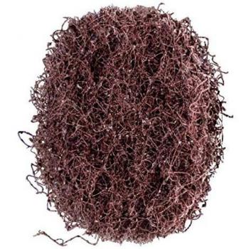 Disque abrasif non-tissé Polinox D 40 mm, moyen, 100 pcs – PFERD (marron)