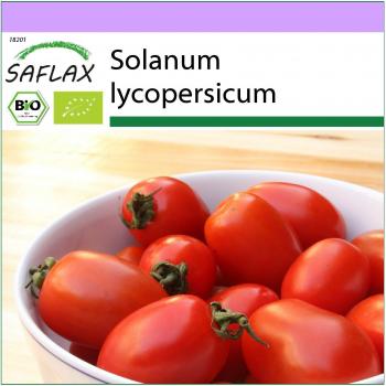 Sofra Gemüsesamen Tomate Principe Borghese – 10 Stück, BIO