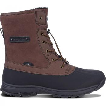 Icepeak Scarpe da trekking per donne Marrone