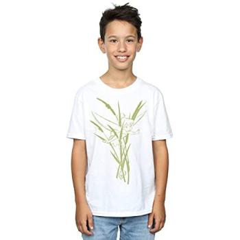 Boy's Tinkerbell Nature Quest Tee – 3-4 Years, White