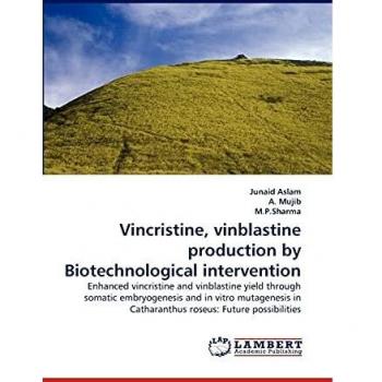 Vincristine, vinblastine production by Biotechnological intervention: Enhanced vincristine and vinblastine yield through somatic embryogenesis and in ... in Catharanthus roseus: Future possibilities