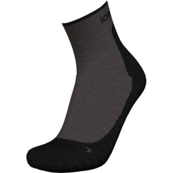 Icebreaker Calzini Hike+ Light Mini Merino Black EU 41-43