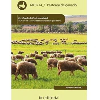 Pastoreo de ganado. Agax0108