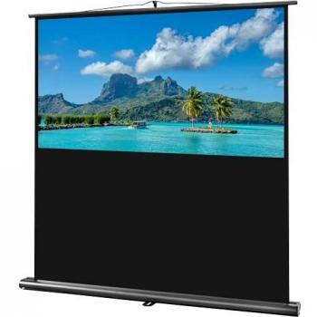 Celexon 156 x 97cm Portable Projector Screen
