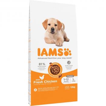 IAMS Advanced Nutrition Puppy Large au poulet pour chiot