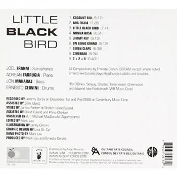 Little Black Bird