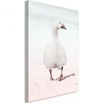 Tableau en Châssis Canard d'Hiver 40x60 cm