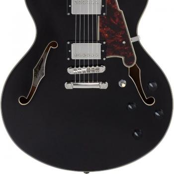 D'Angelico DC Semi-akustik Schwarz Flake