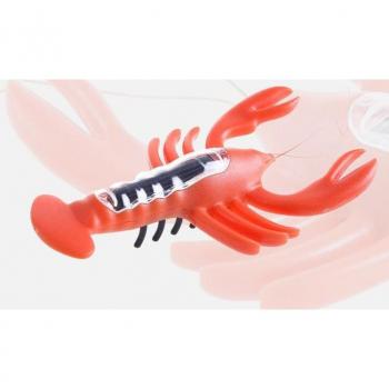 Educational Solar Powered Lobster for Kids