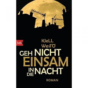 Geh nicht einsam in die Nacht: Roman