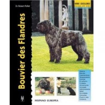 Bouvier des Flandres (Excellence)