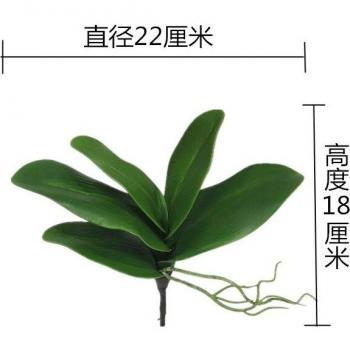 Orchid Leaf Decor for Home and Hotel