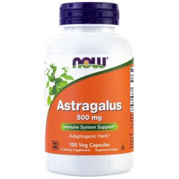 NOW Foods Astragalus 500 mg – 100 capsules – NL versie