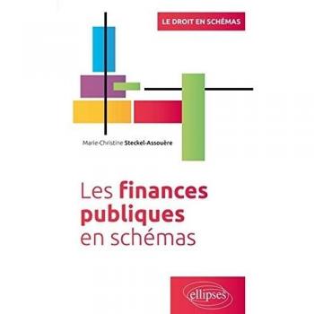 Les Finances Publiques en Schémas