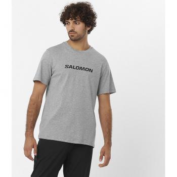 T-shirt Salomon Performance manica corta grigia