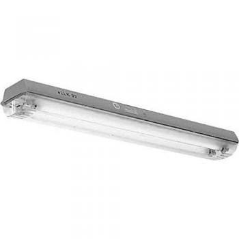 Ceag eLLK 92036/36 1/6-1 – Ex‑Leuchte mit 2×36 W, einseitige DV
