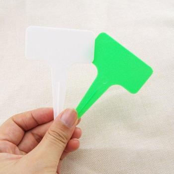 Étiquettes de pépinière vertes