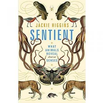 Jackie Higgins Sentient: What Animals Reveal About Our Senses