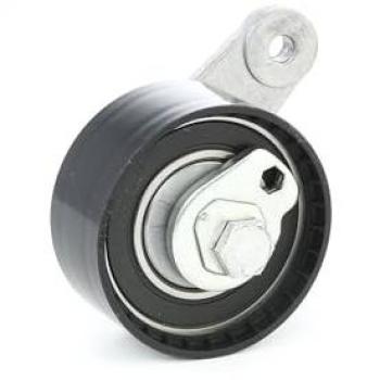 SKTPT-0650031: Rullo Tenditore con Cinghia Dentata