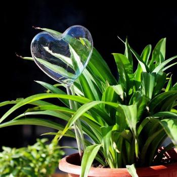 Self-Irrigating Plant Waterer