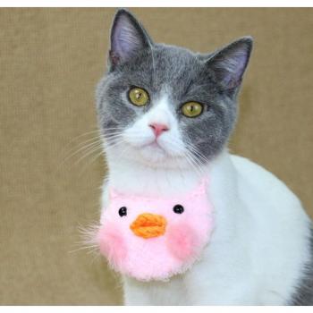 Accessoires pour chaton Chihuahua