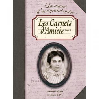 Les carnets d'Amicie (Les cahiers d'Amicie (2))