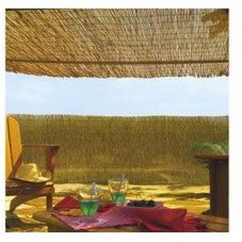 Rullo Bambù Sano 2x5 m